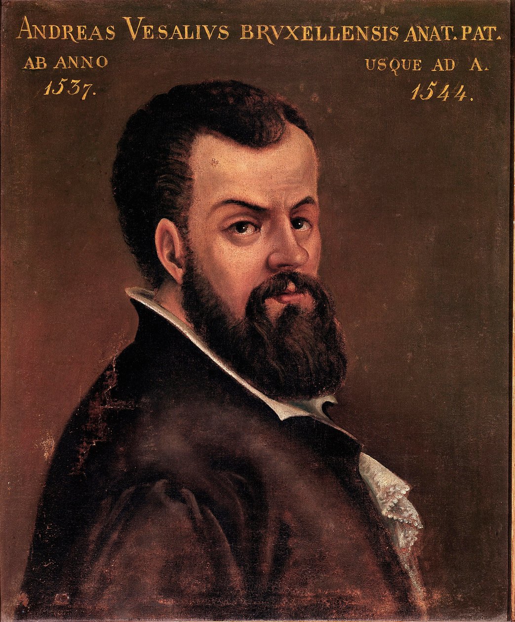Ritratto di Andrea Vesalio (Andreas Vesalius) (1514-1564), anatomista e medico di Carlo V dipinto anonimo della scuola italiana. XVI secolo Padova, Università da Italian School