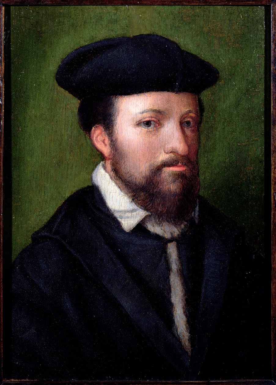 Ritratto di un gentiluomo, Nord Italia, metà XVI secolo da Italian School