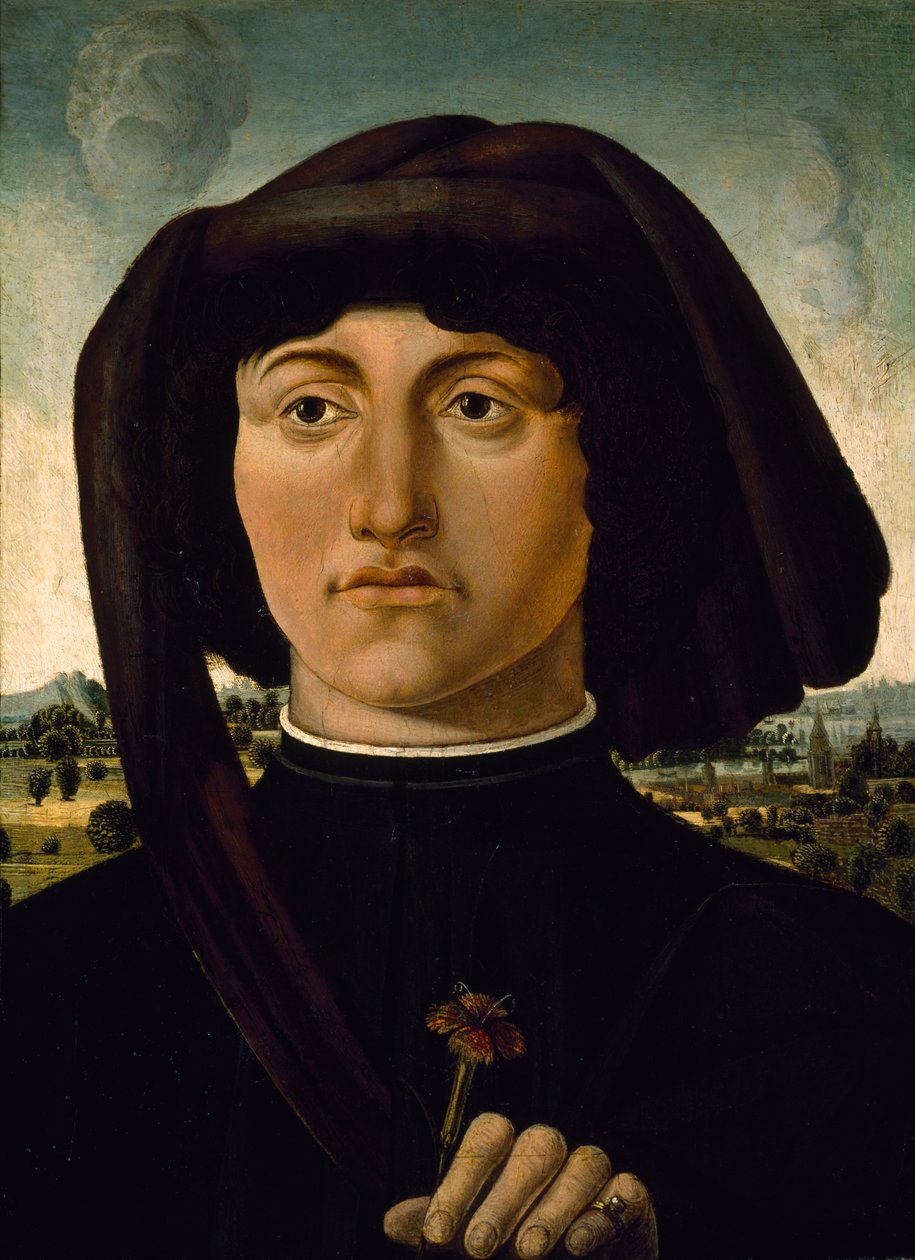 Ritratto di un giovane con un fiore rosa, c.1475-85 da Italian School