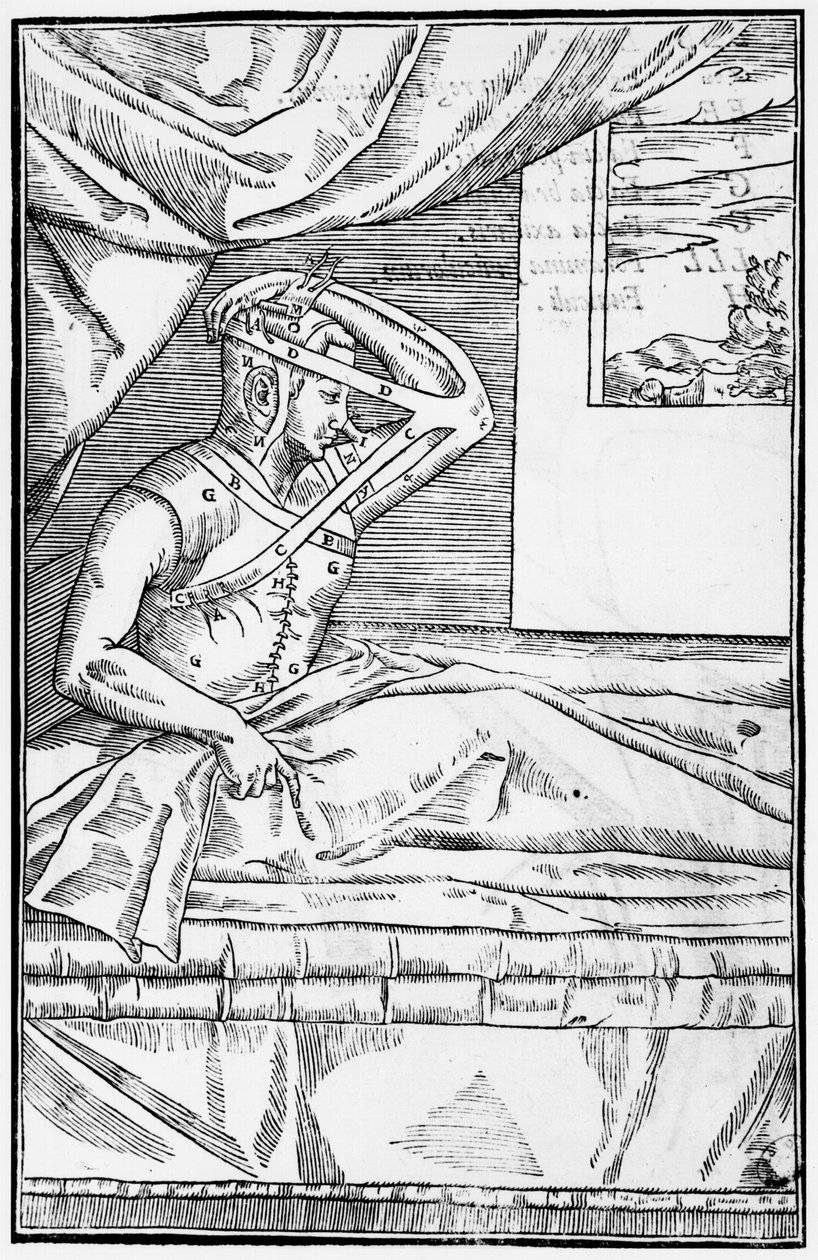 Chirurgia ricostruttiva del naso, illustrazione da De curtorum chirurgia per insitionem di Gaspare Tagliacozzi (1545-99) Venezia, pubblicato nel 1597 da Italian School