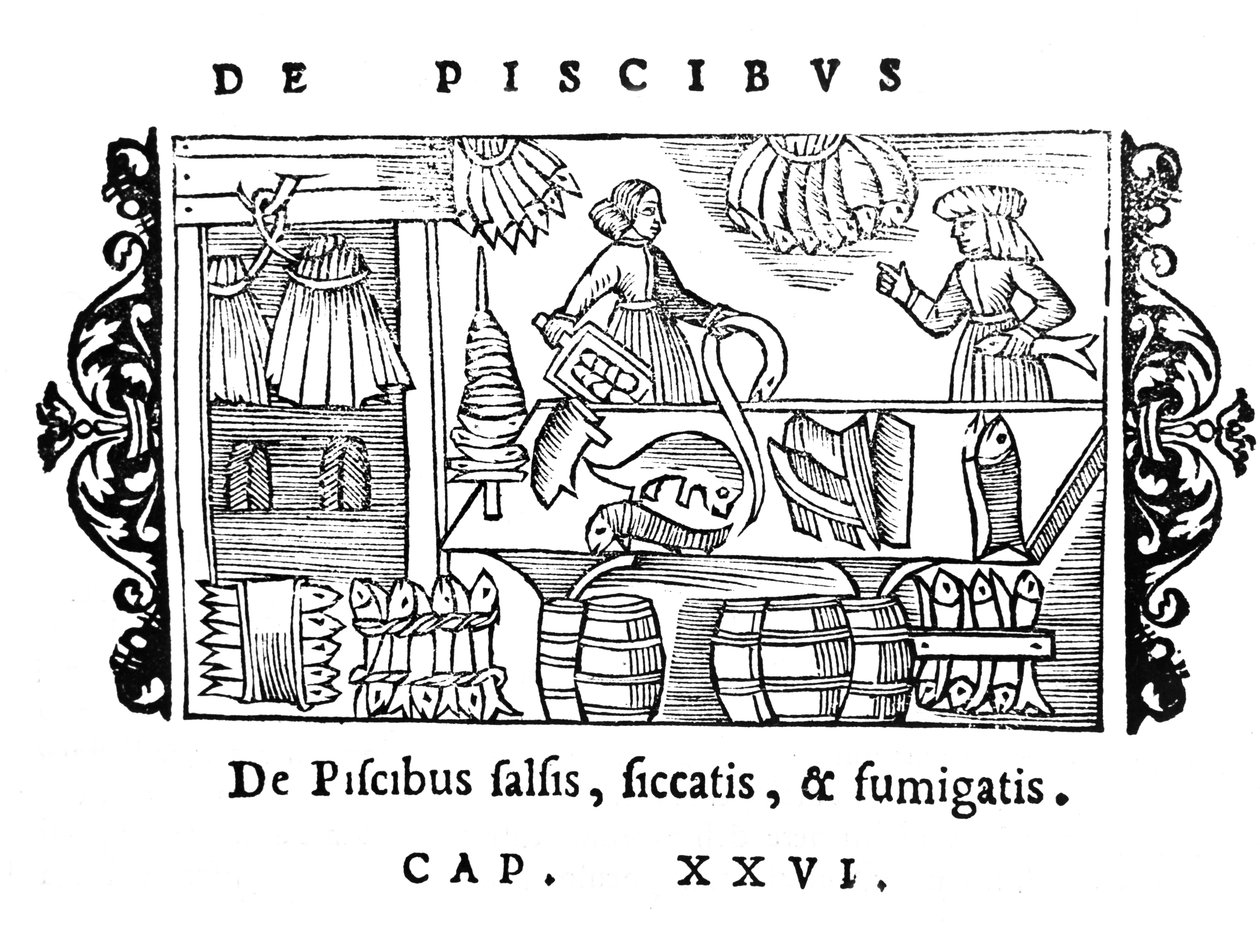 Salatura, essiccazione e affumicatura del pesce, illustrazione da Historia de Gentibus Septentrionalibus di Olaus Magnus (1490-1558), pubblicato a Roma, 1555 da Italian School