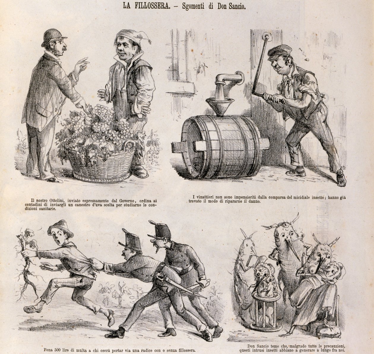 Cartone satirico dedicato alla crisi della viticoltura causata dalla fillossera, illustrazione dal giornale satirico Spirito Folletto, 18 settembre da Italian School