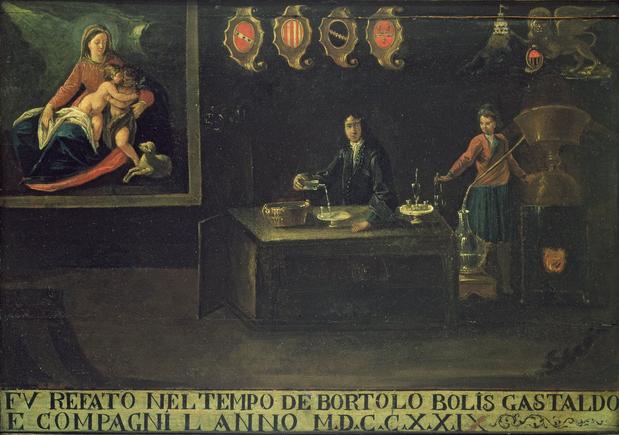 Insegna della Corporazione dei Farmacisti Veneziani, 1729 da Italian School