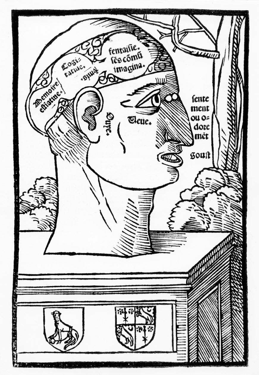 Il cervello e le facoltà umane, da Anatomia Mundini, edizione francese, pubblicata nel 1537 da Italian School