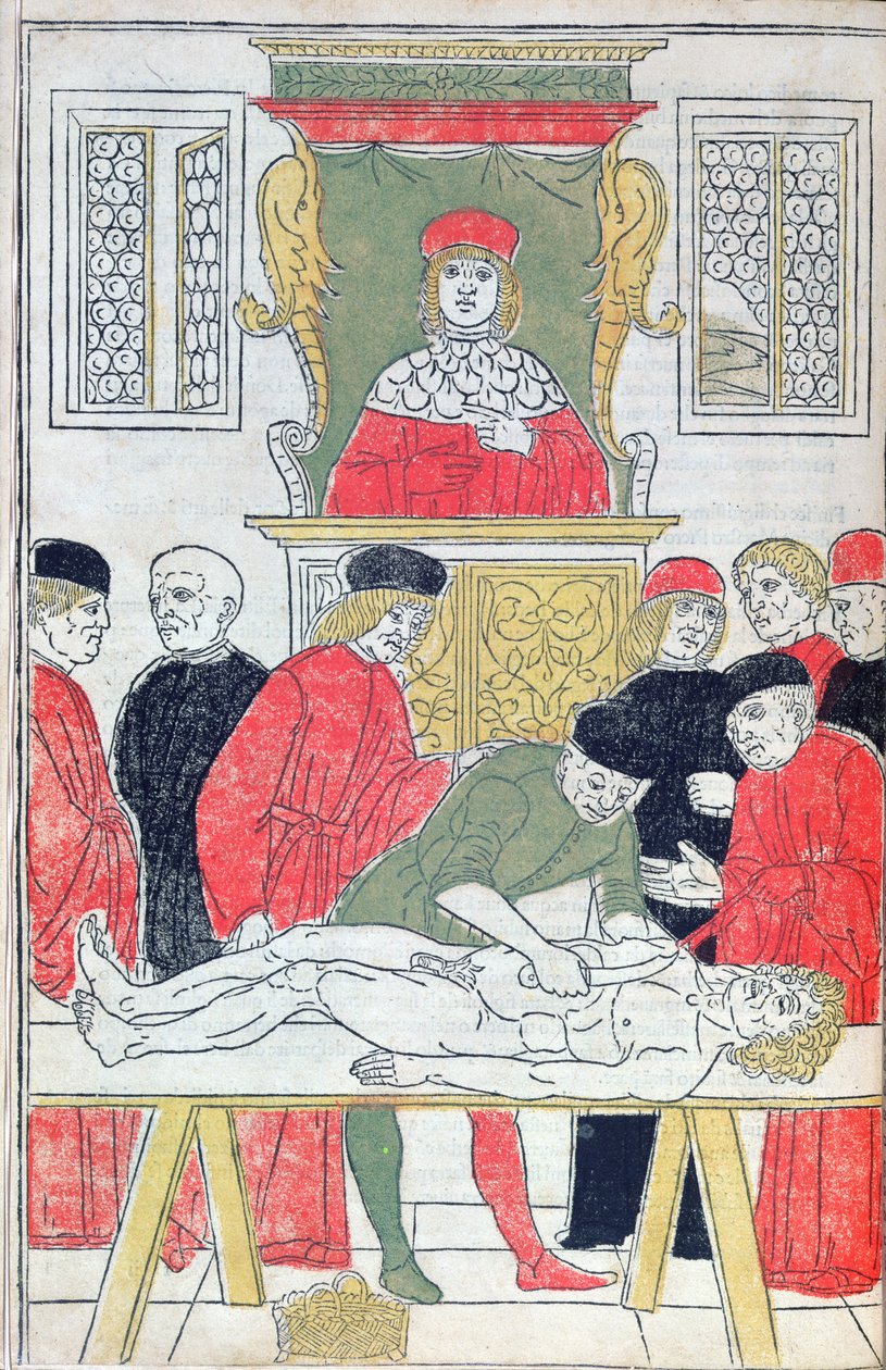 La dissezione, illustrazione da 