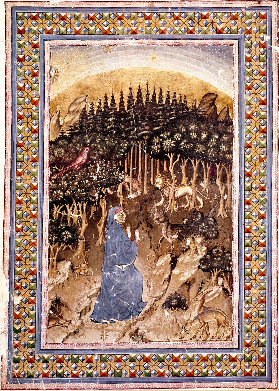 Il poeta Dante si trova in una foresta oscura. Pagina illuminata del primo canto dell