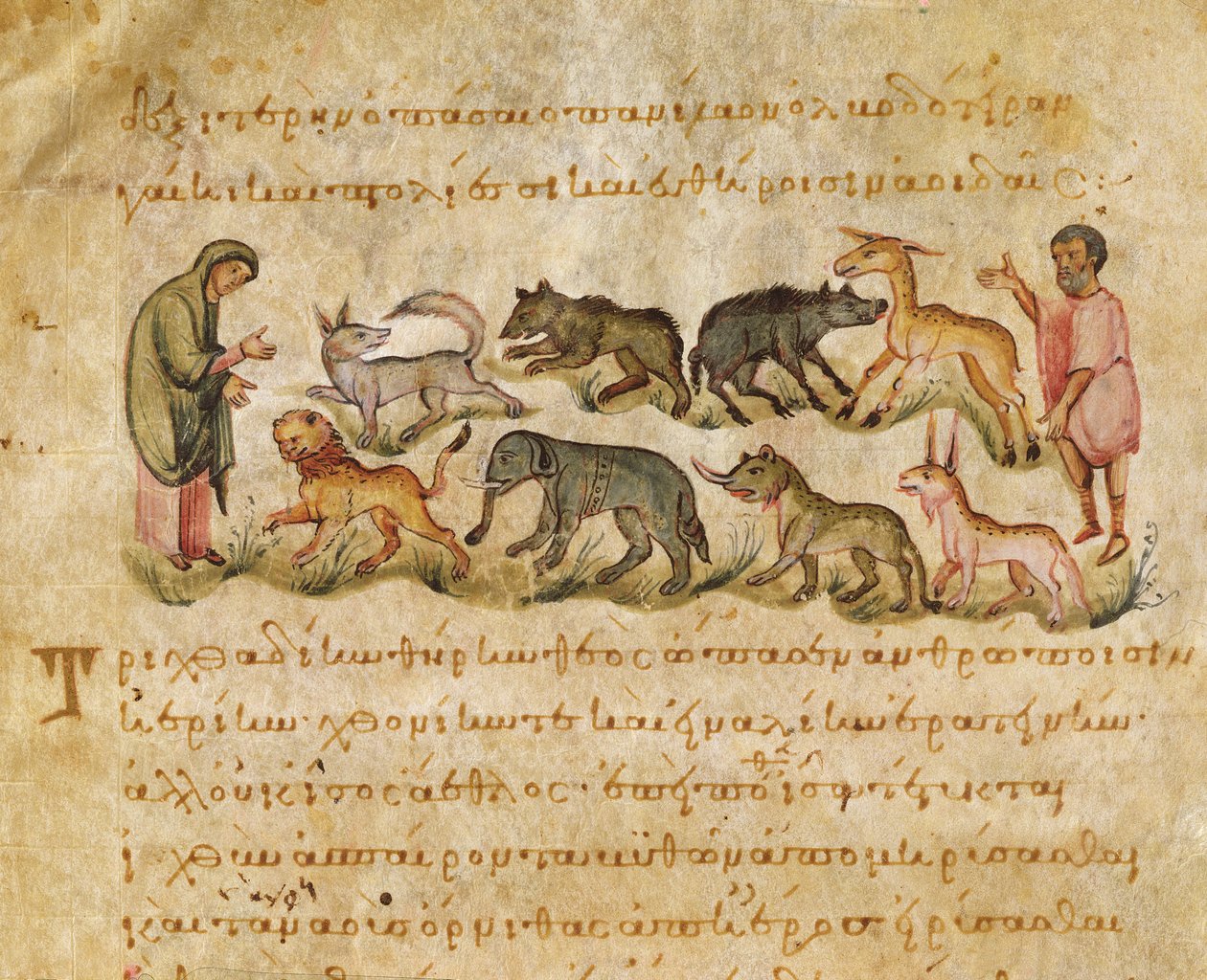 Trattato sulle molte specie animali che abitano la terra, illustrazione dal Cynegetica di Oppiano da Italian School