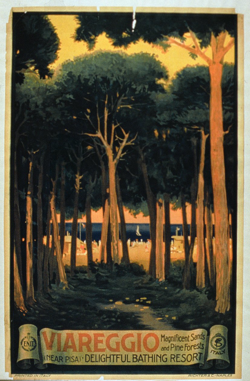 Viareggio", edito da Richter e Co., Pisa, italiano (litografia a colori) da Italian School