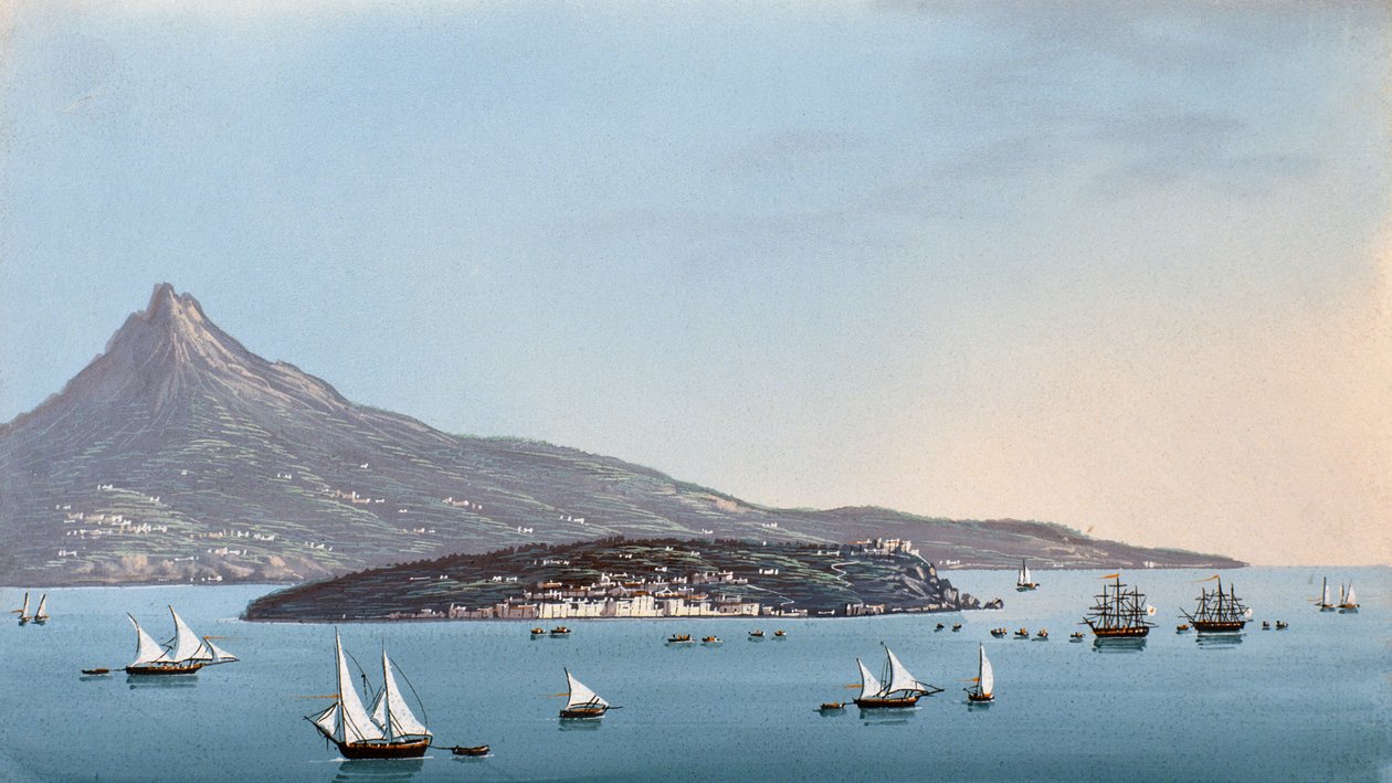 Veduta di Napoli da Italian School