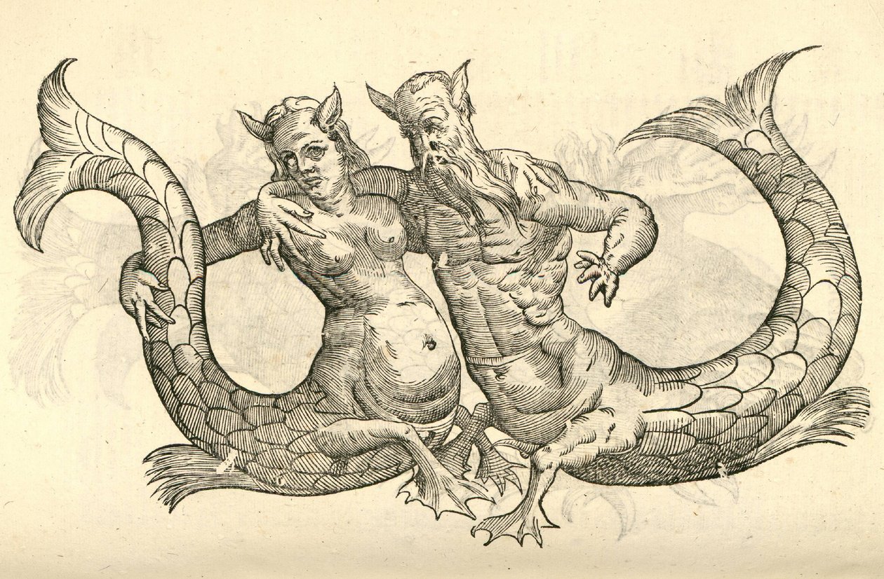 illustrazione di Monstra Niliaca Parei dalla Storia dei Mostri di Aldrovandi, 1642 da Italian School