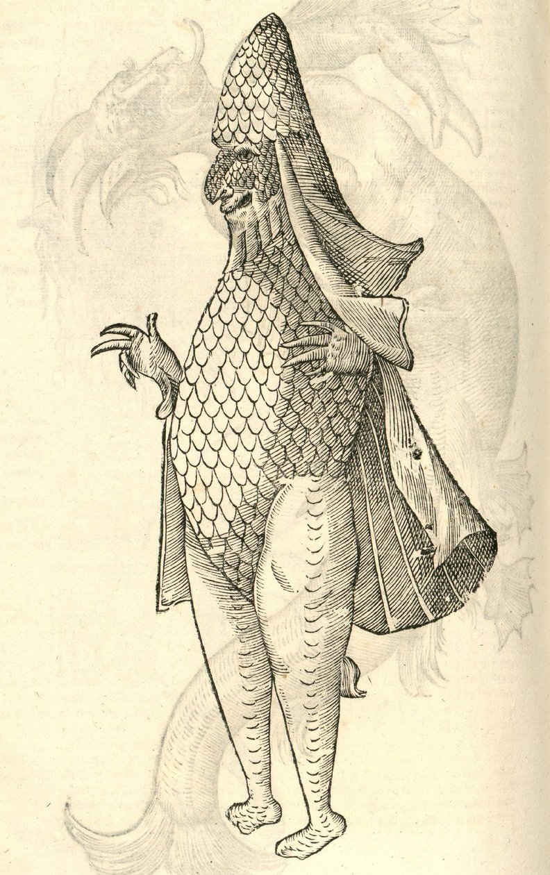 illustrazione di Monstrum Marinum rudimenta habitus Episcopi referens dalla Storia dei Mostri di Aldrovandi, 1642 da Italian School