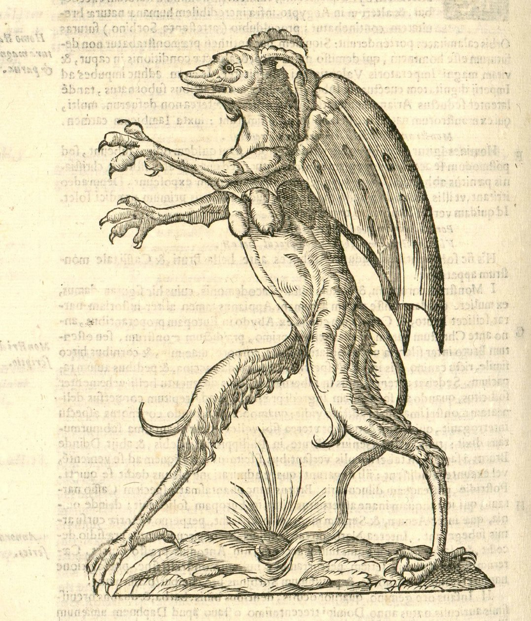 illustrazione di Monstrum alatum, & cornutum instar Cacodaemonis dalla Storia dei Mostri di Aldrovandi, 1642 da Italian School