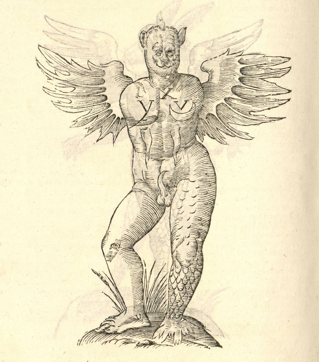 illustrazione di Monstrum cornutum, and alatum aliud dalla Storia dei Mostri di Aldrovandi, 1642 da Italian School
