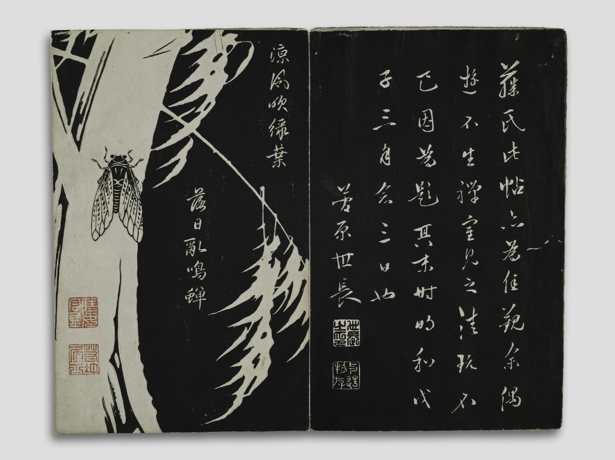 Fiori delle Montagne Kun-lun (Gempō Yōka), Periodo Edo da Ito Jakuchu