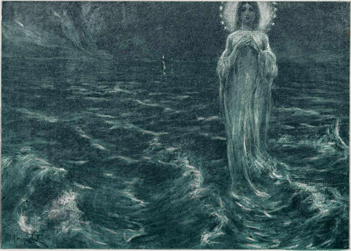 Stella marina da Ivan Vavpotic