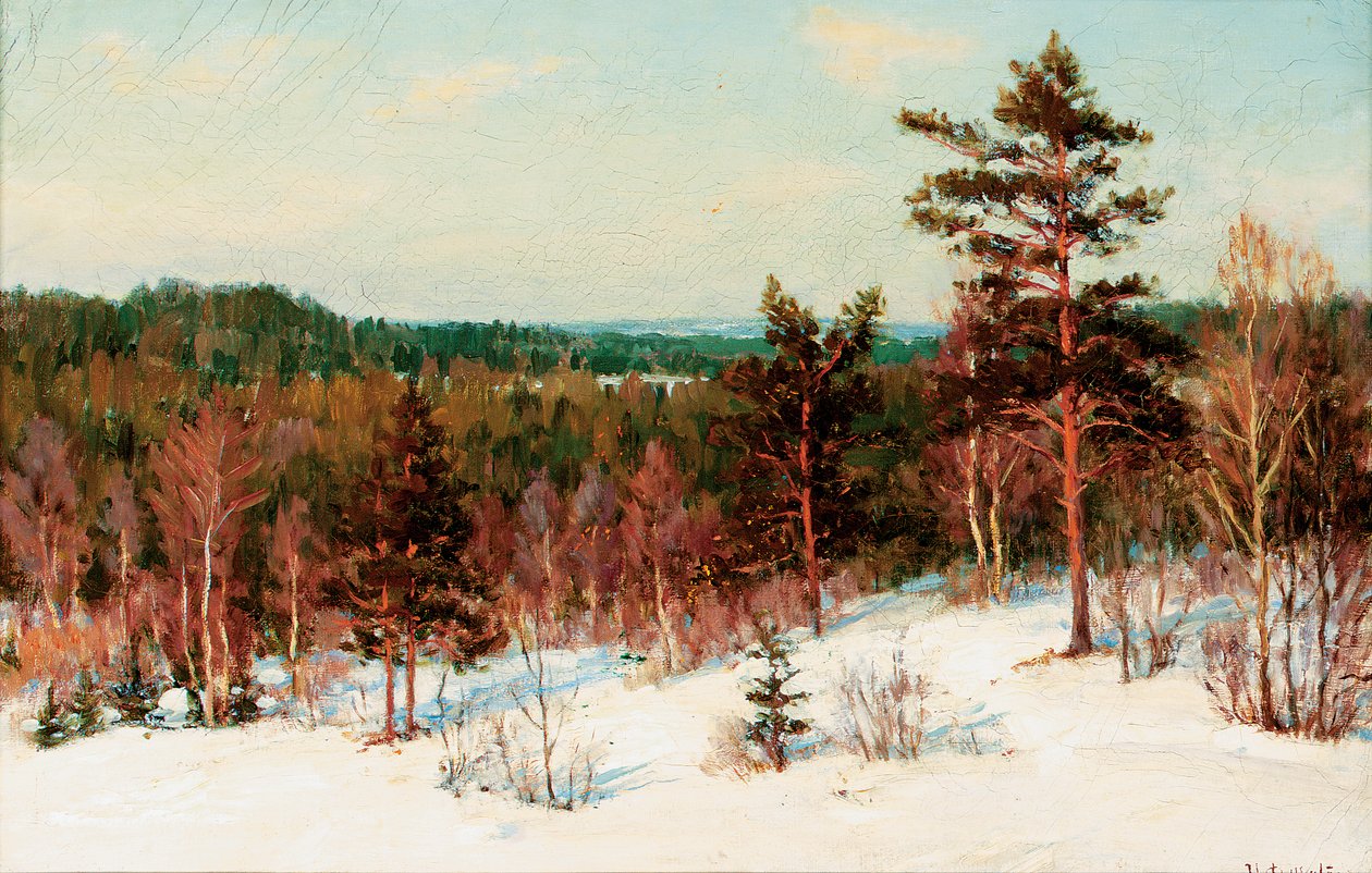 Inverno - Vista sulla foresta da Ivan Fedorovich Choultse