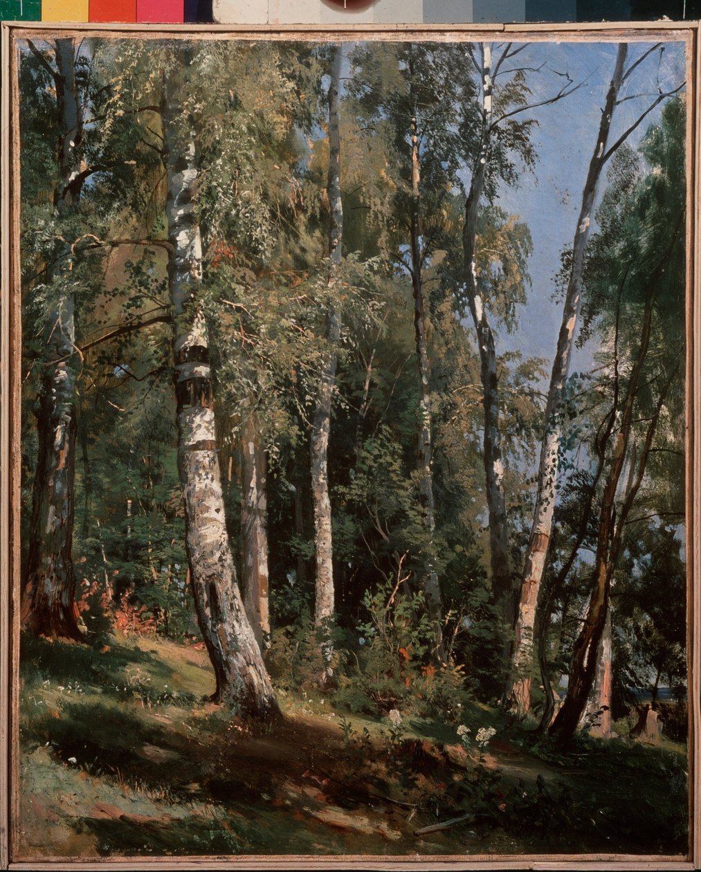 Boschetto di betulle da Ivan Ivanovich Shishkin