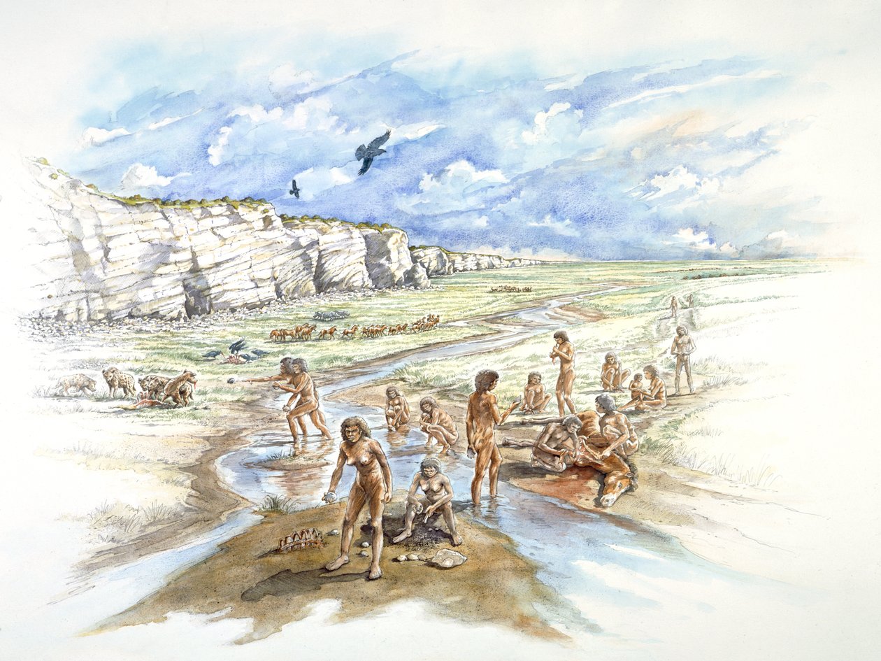 Cava di Boxgrove, Preistorico, ca. 1990-2010 da Ivan Lapper