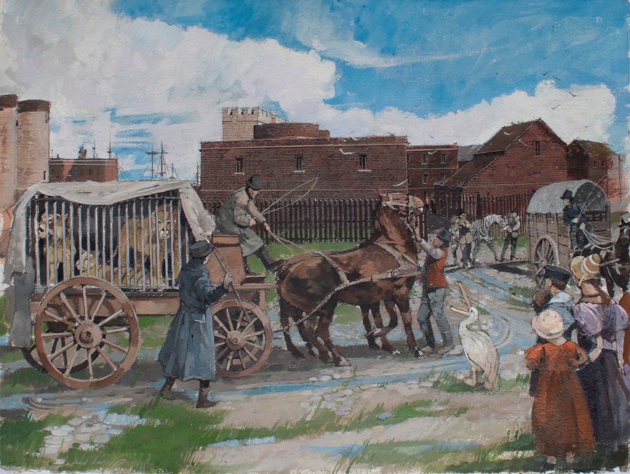 Veduta ricostruita degli animali del serraglio reale che lasciano la Torre di Londra intorno al 1841 da Ivan Lapper