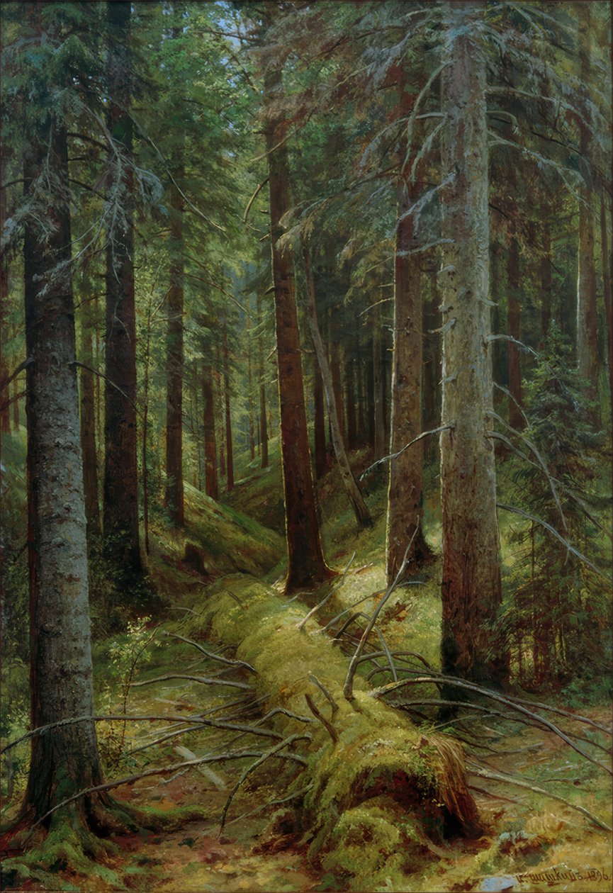 Nella foresta russa da Ivan Ivanovich Shishkin