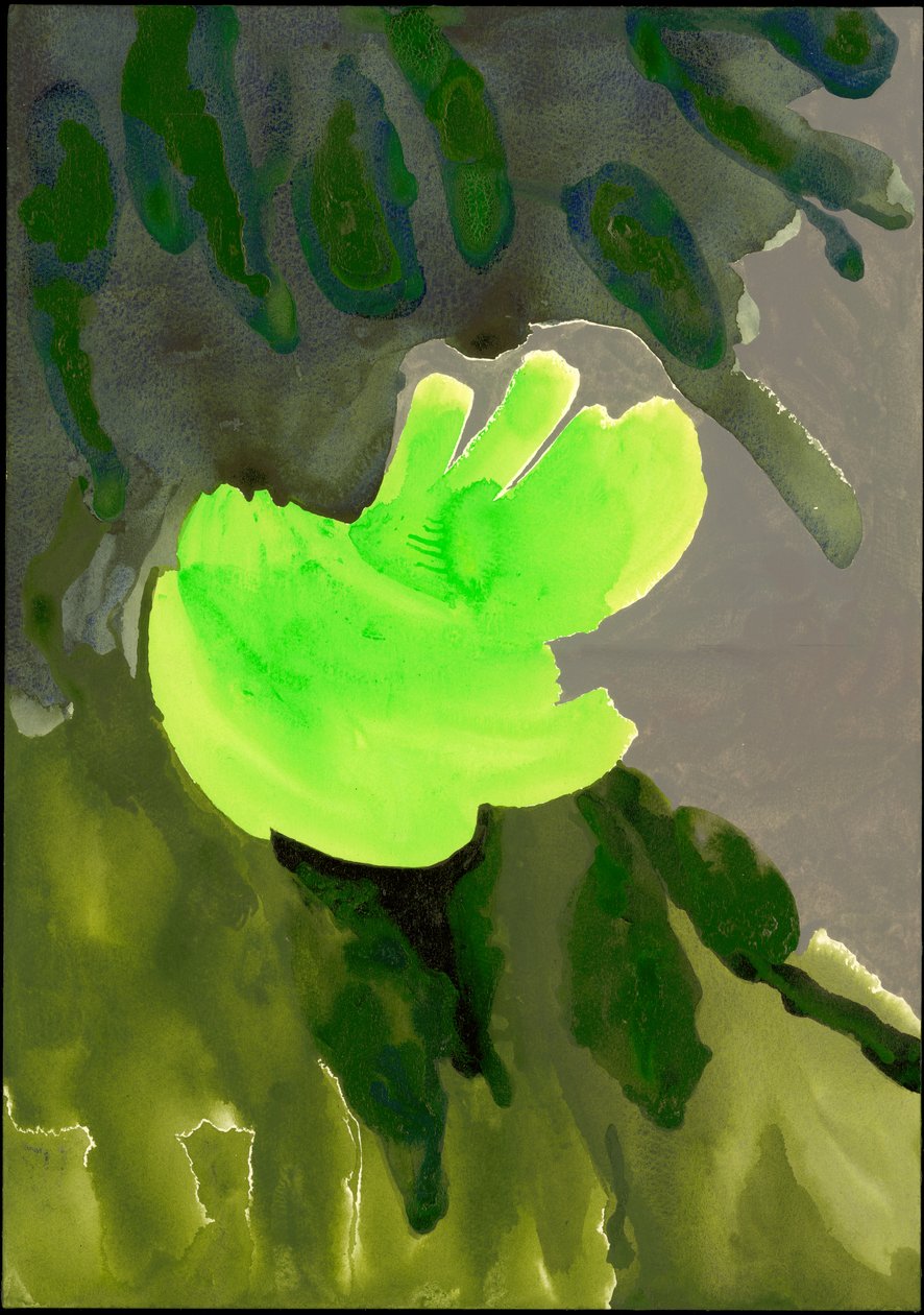 Serie Kensington Gardens: Cascata di foglie, 2007 da Izabella Godlewska de Aranda
