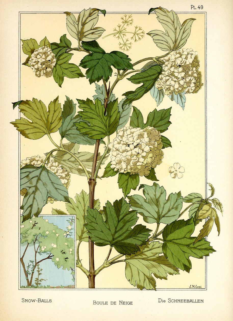 Le palle di neve da J. Milesi