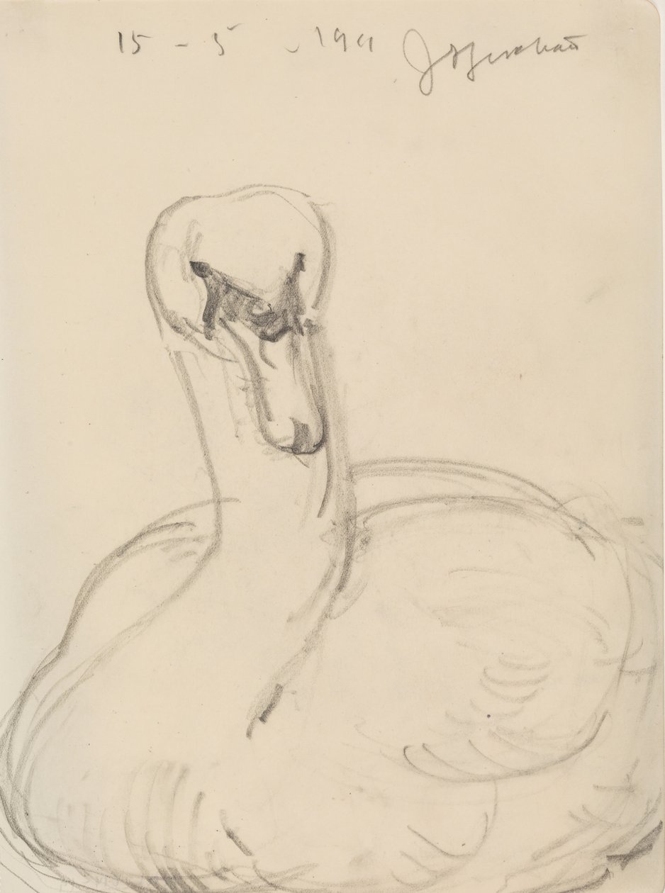 Cigno da J.A. Jerichau