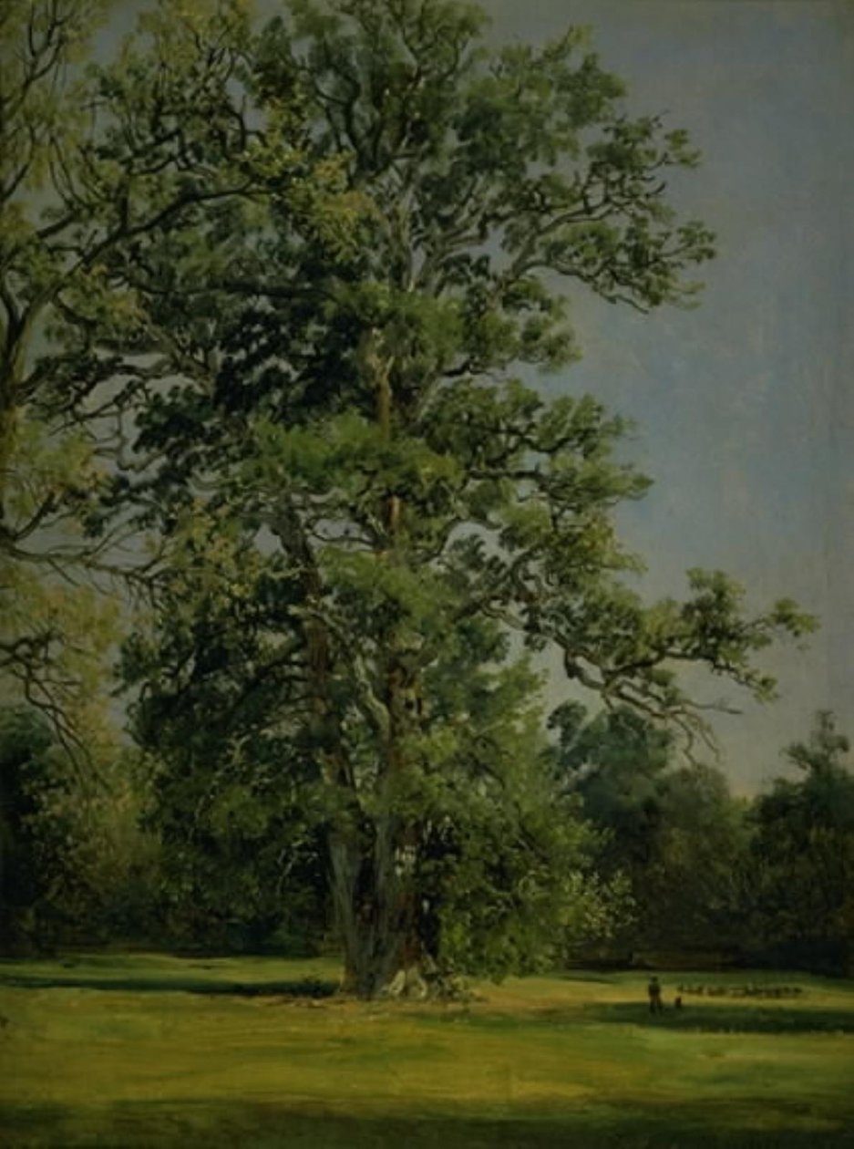 Una quercia. Vista del giardino a Wörlitz vicino a Dessau da Johan Christian Dahl