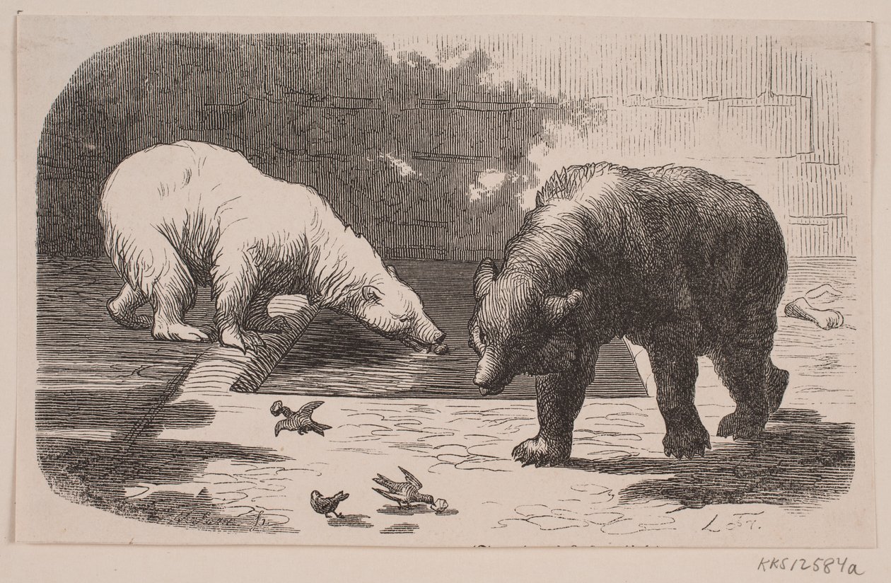 Orsi nel Jardin des Plantes da J.C. Nielsen