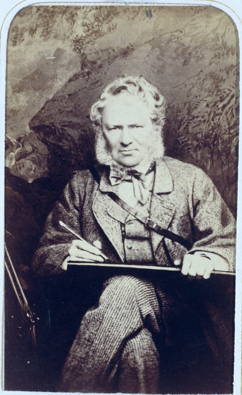 Ritratto di Sir Edwin Landseer (1802-73) (stampa all