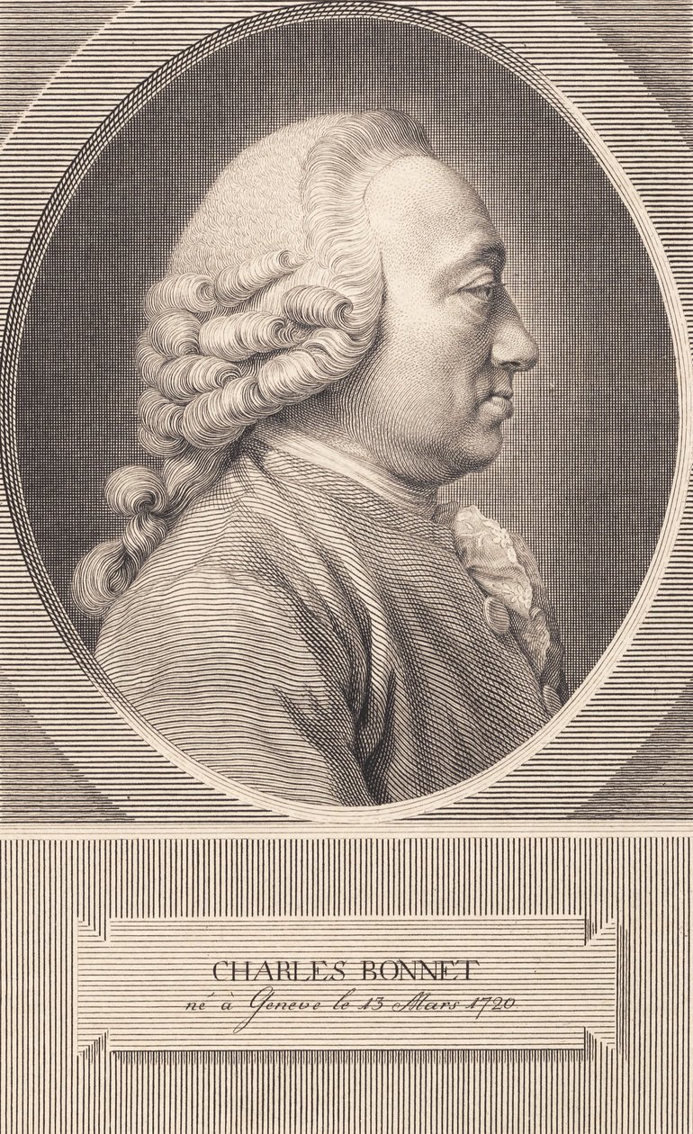 Charles Bonnet da J.F. Clemens