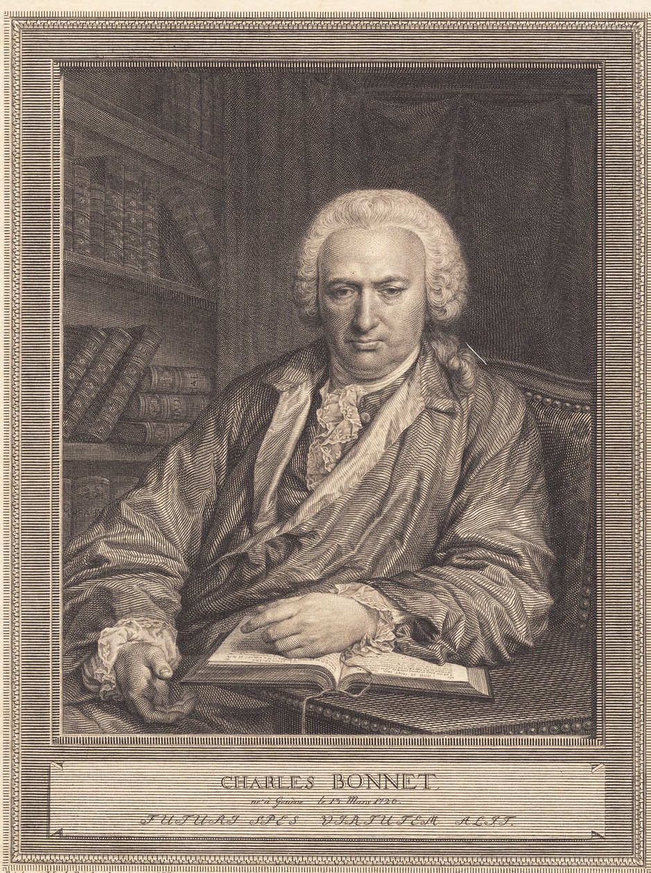 Charles Bonnet da J.F. Clemens