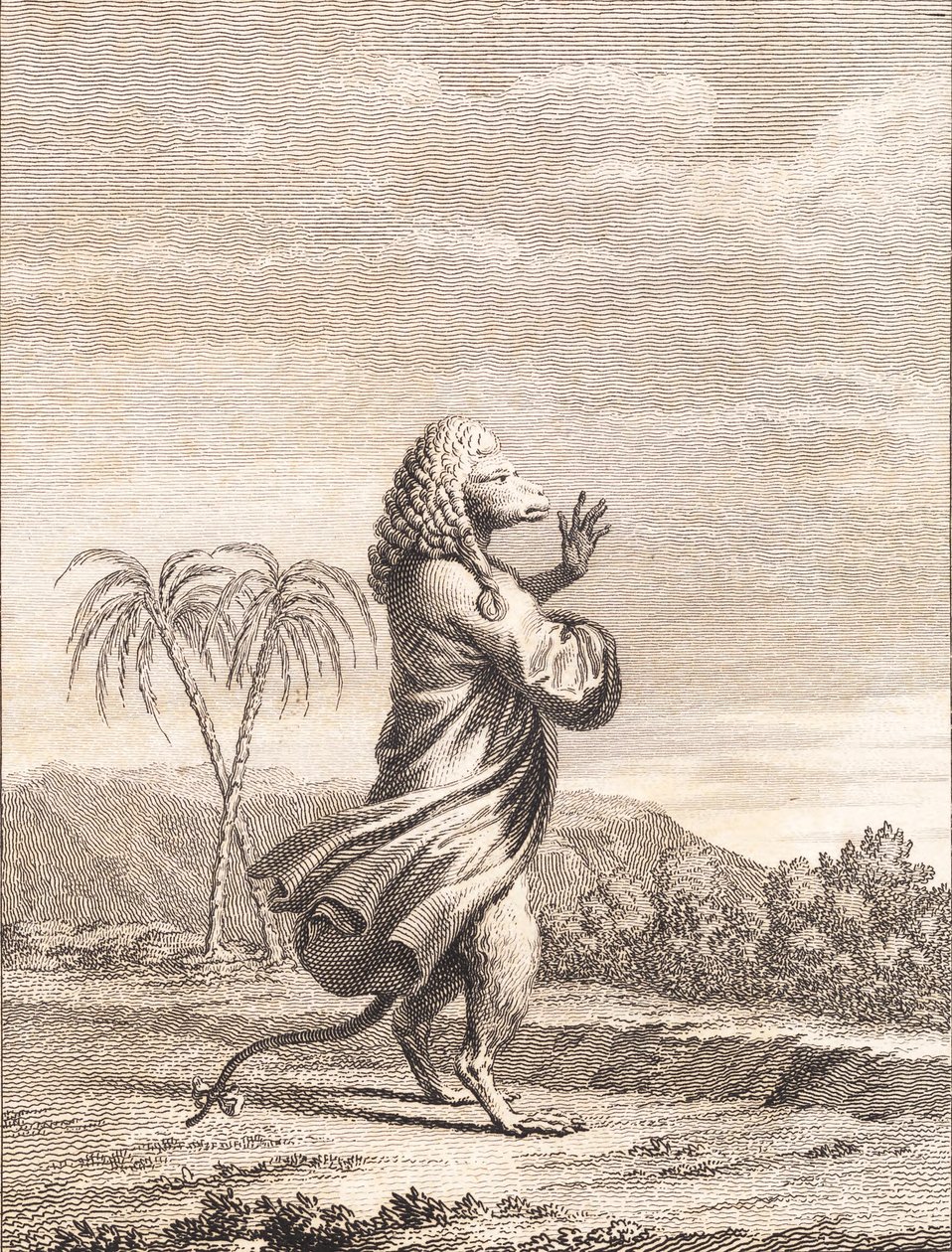 Una scimmia martiniana da J.F. Clemens