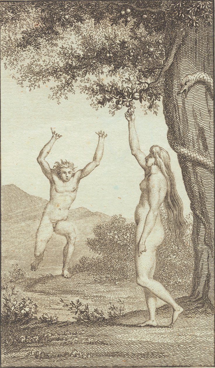 Illustrazione per "Adamo ed Eva" di Ewald. III da J.F. Clemens