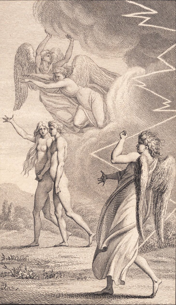 Illustrazione per 