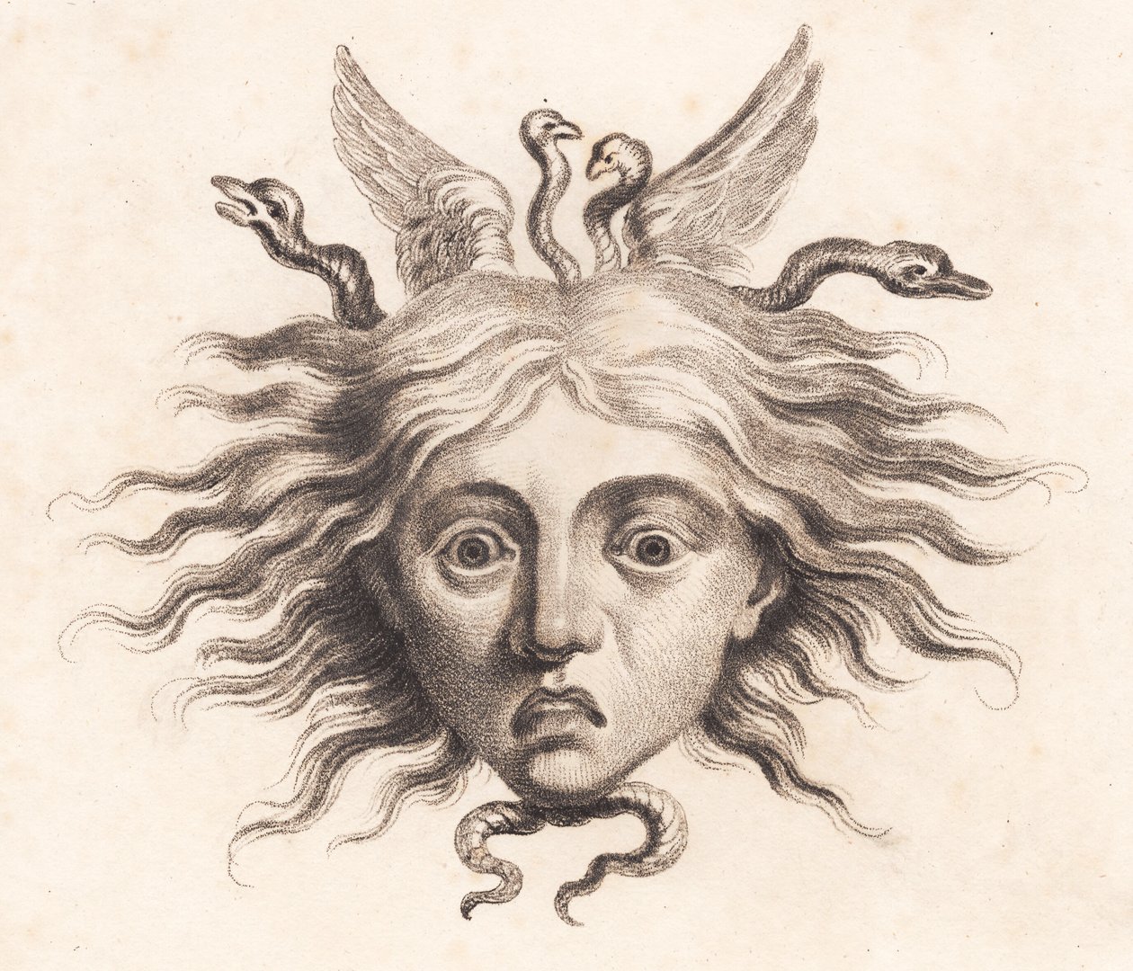 Testa di Medusa da J.F. Clemens