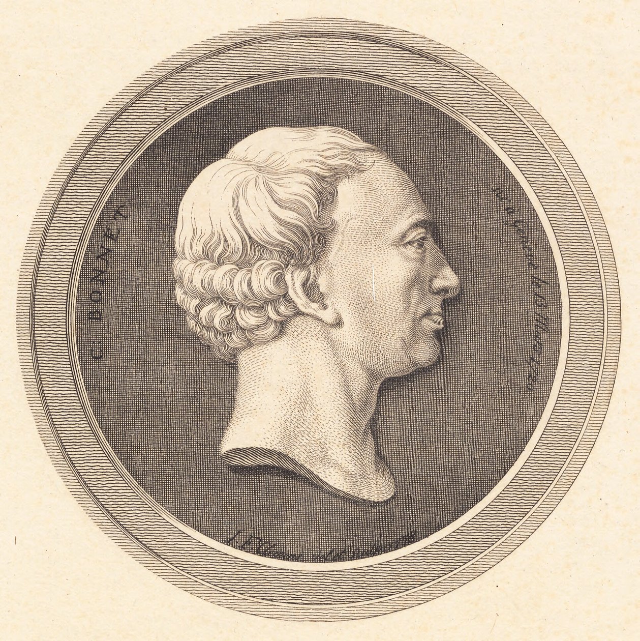 Medaglione in rilievo con ritratto di Bonnet da J.F. Clemens