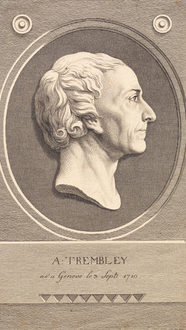 Medaglione in rilievo con ritratto dello zoologo Abraham Trembley da J.F. Clemens