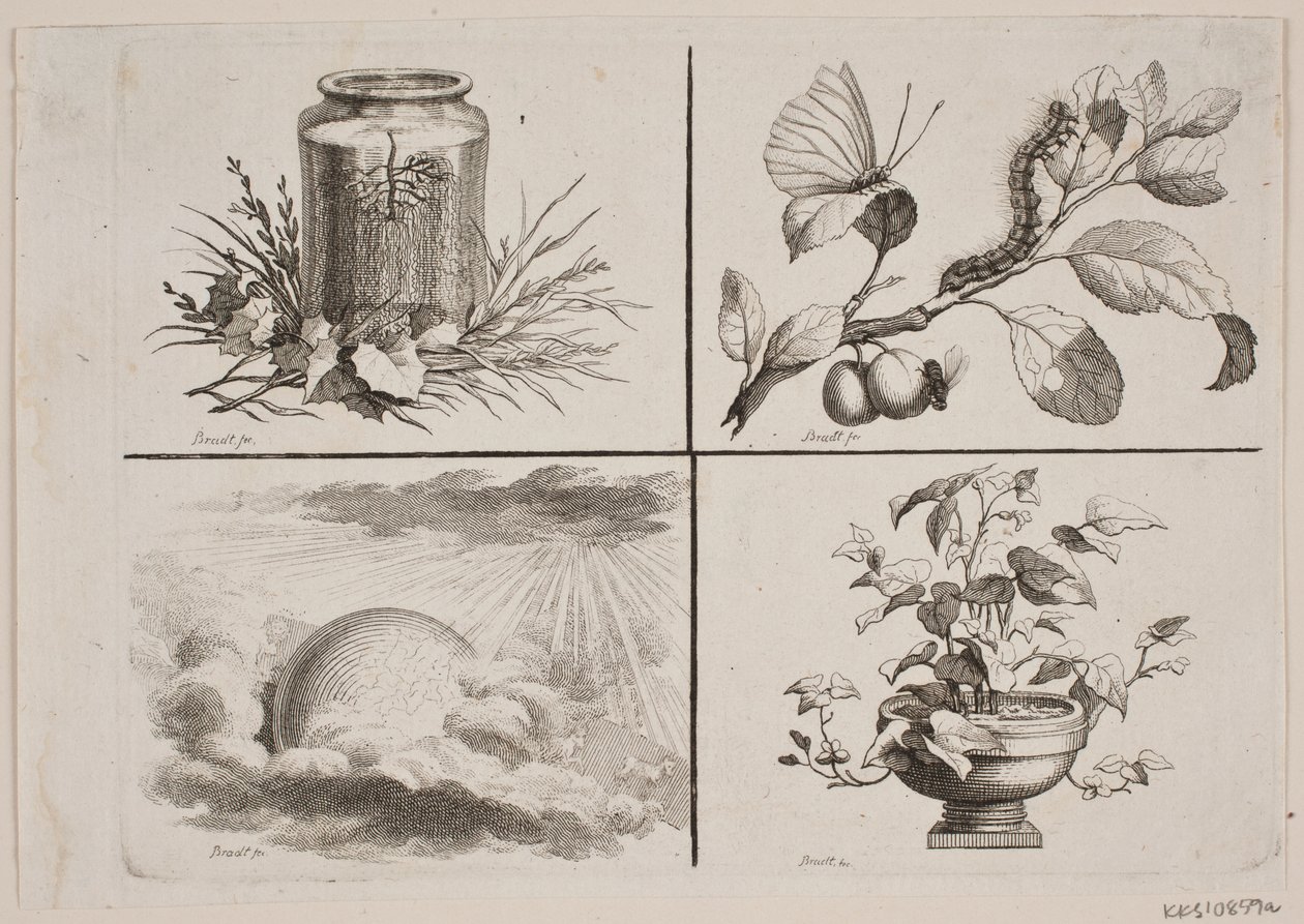 Vignette per le opere di Bonnet da J.F. Clemens
