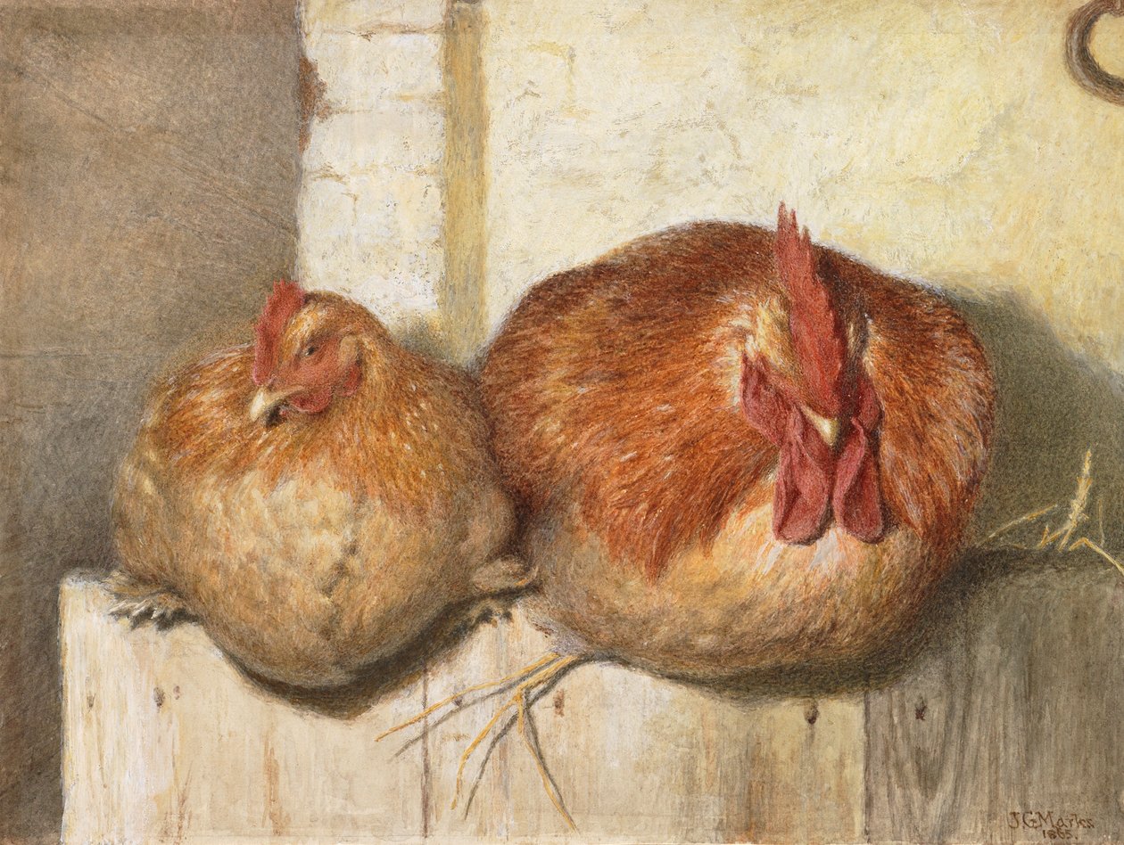 Quaranta sonnellini, 1865 da J.G. Marks