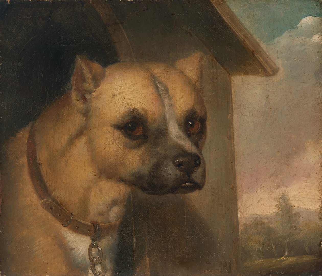 Staffordshire bull terrier appartenente al Rev. John Gower da J.M. Crossland