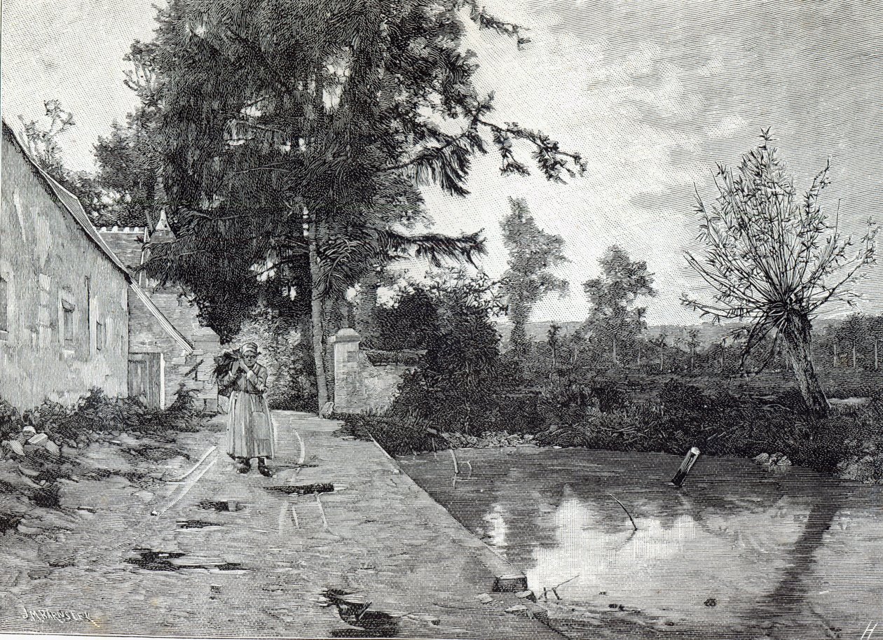 Dopo la pioggia, da Leisure Hour, 1888 da J.M. Barnsley