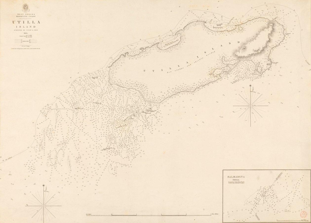 Indie Occidentali Costa delle Zanzare Isola di Utilla rilevata dal Comandante R. Owen 1835 da J. & C. Walker
