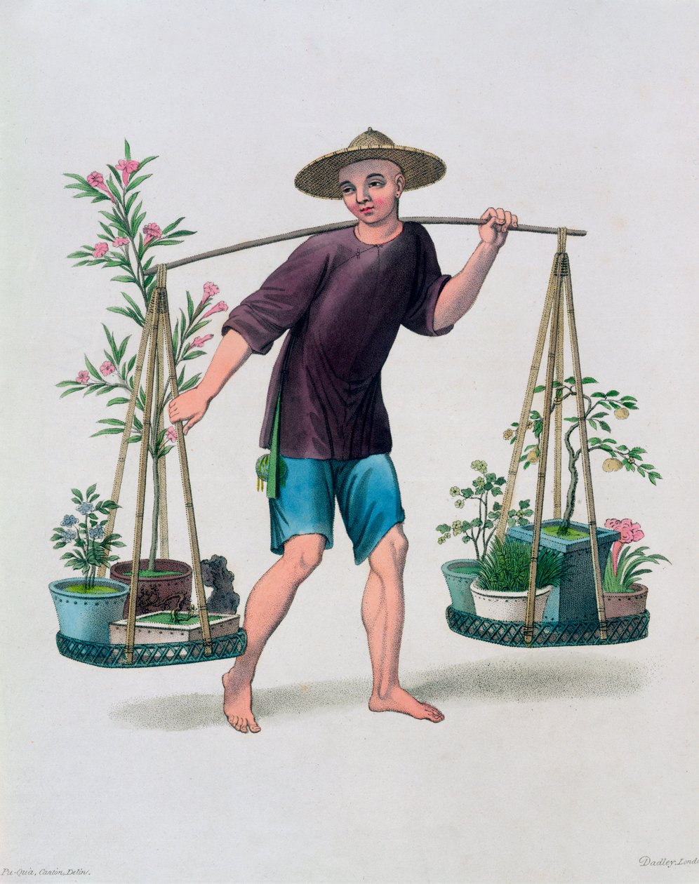 Un portatore con alberi da frutto e fiori da J Dadley