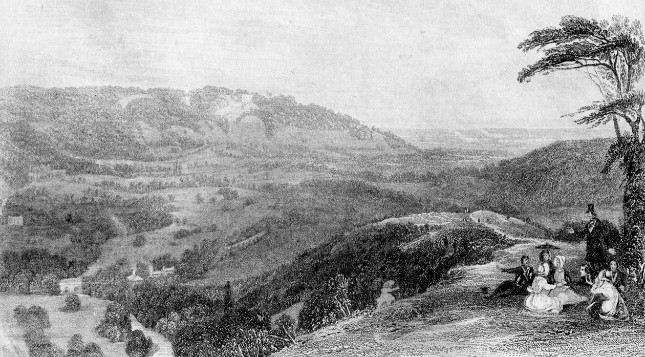 Veduta da Box Hill, verso Norbury, Surrey, XIX secolo da J. H. Kernot