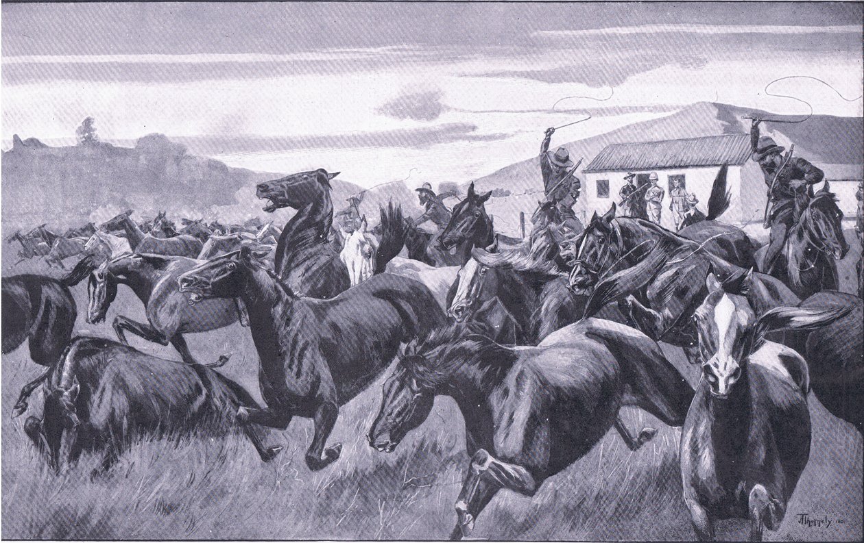 Boeri che saccheggiano il deposito di rimonta a Braamfontein, da Dopo Pretoria: La guerra di guerriglia pubblicata da Harmsworth Bros Limited, 1901 da J. H. Thornely