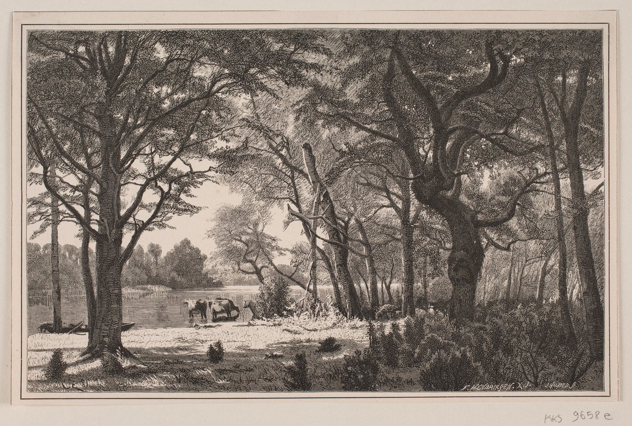 Paesaggio forestale dello Jutland da J. Hildebrand