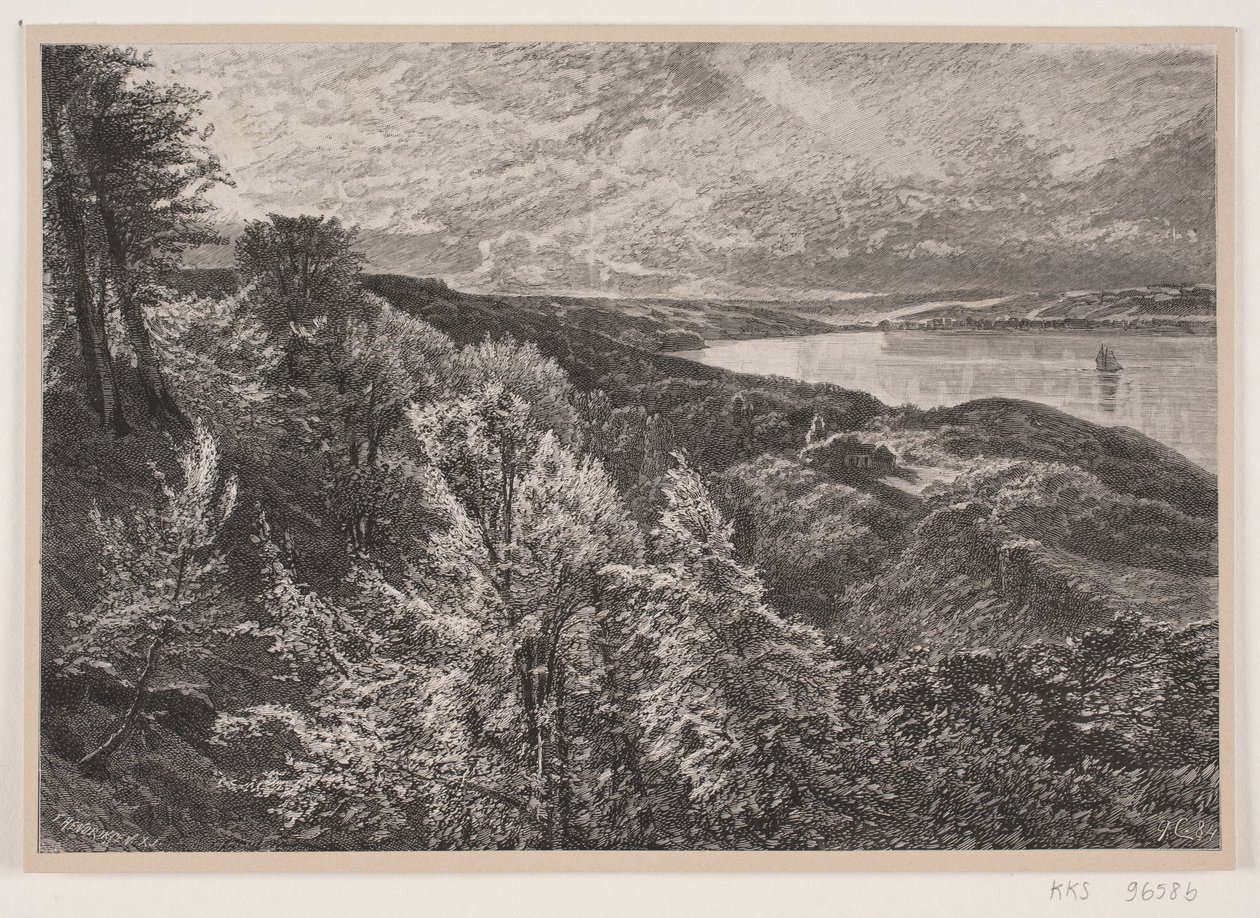 Vista da Munkebjerg sul fiordo di Vejle da J. Hildebrand