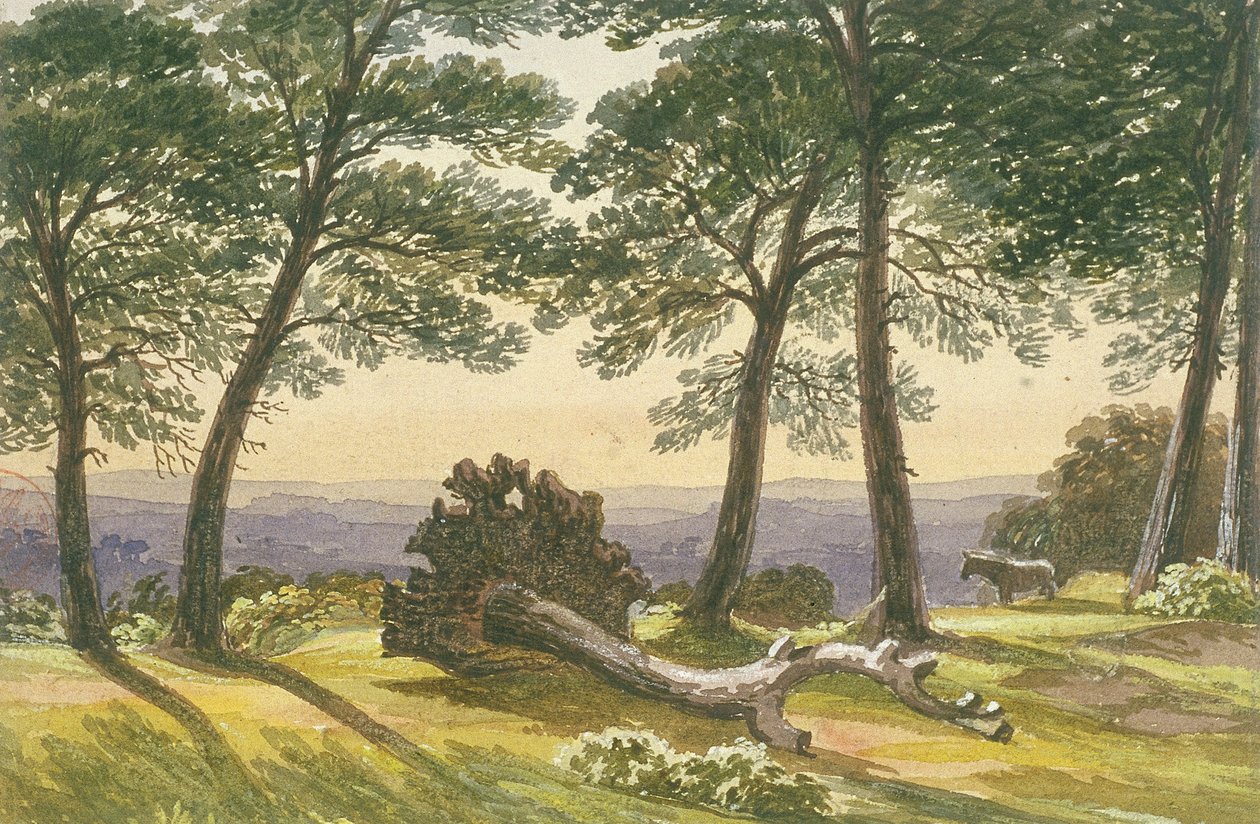 Hampstead Heath, Londra da J Powell