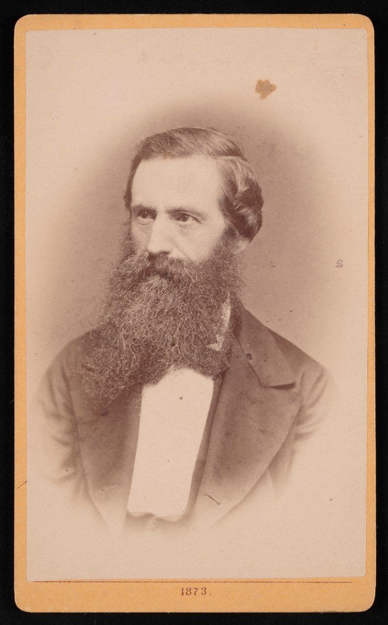 Ritratto di Mordecai Cubitt Cooke 1825-1914, 1873 da J Stegmann